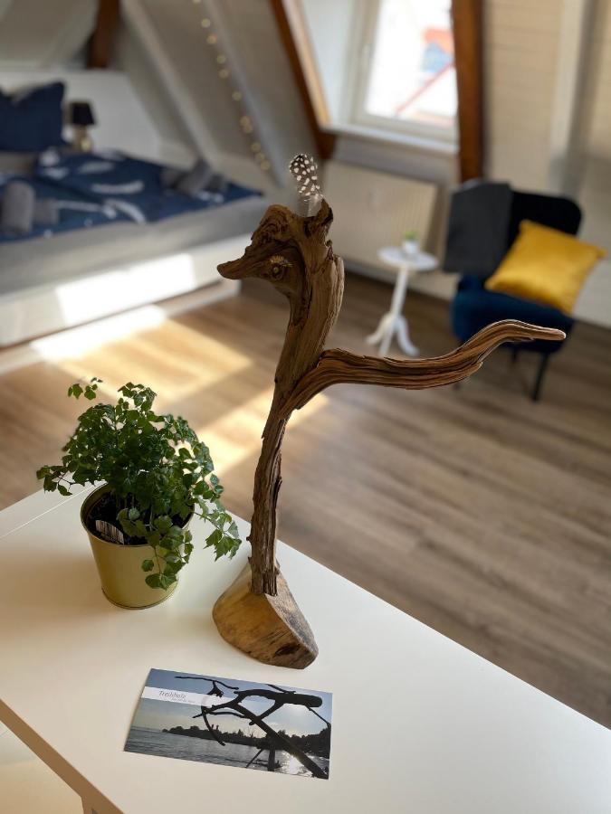 Ferienwohnung Schneider FDH מראה חיצוני תמונה